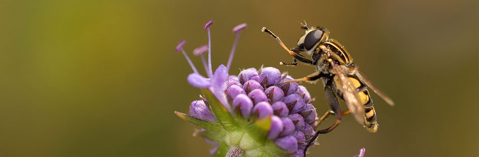 Programy lojalnościowe: Wiosenne porządki