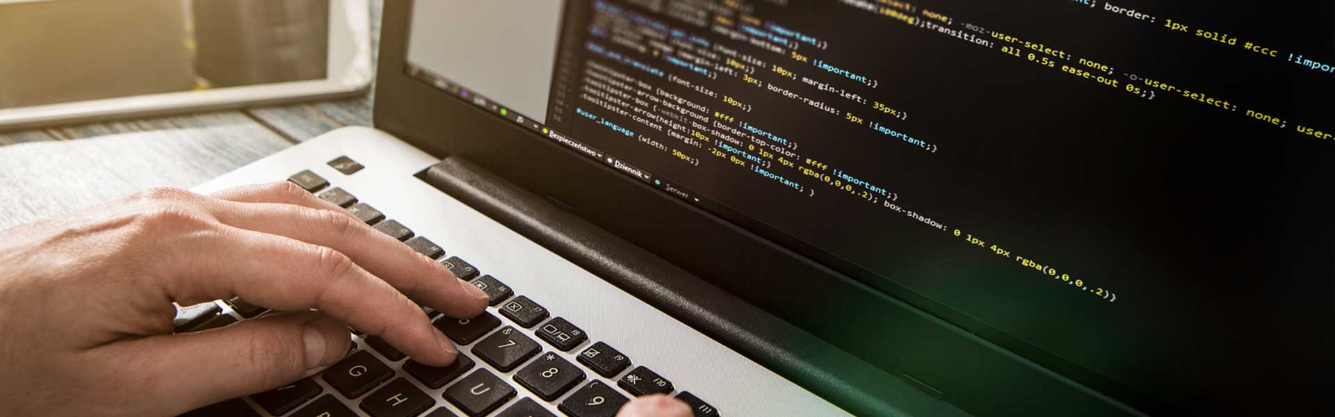 Program lojalnościowy: Systemy IT